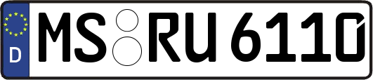 MS-RU6110