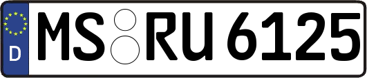MS-RU6125