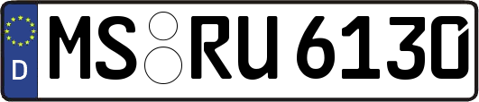MS-RU6130