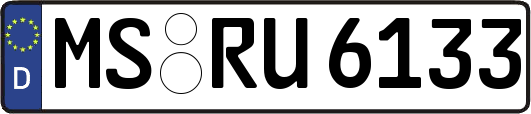 MS-RU6133