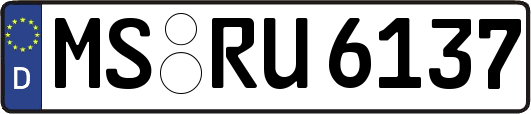 MS-RU6137