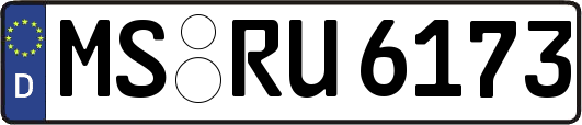 MS-RU6173