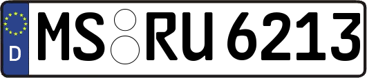 MS-RU6213