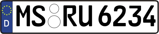 MS-RU6234