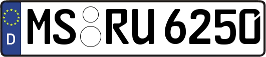 MS-RU6250