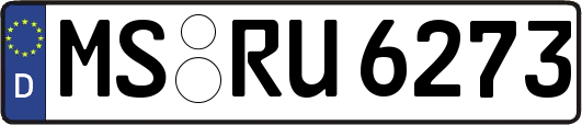 MS-RU6273