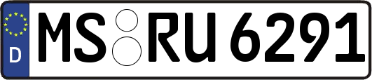 MS-RU6291
