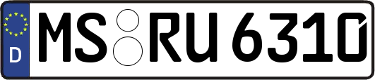 MS-RU6310