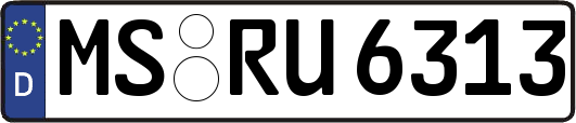 MS-RU6313