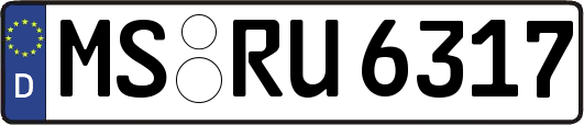 MS-RU6317
