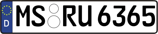 MS-RU6365