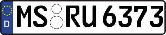 MS-RU6373