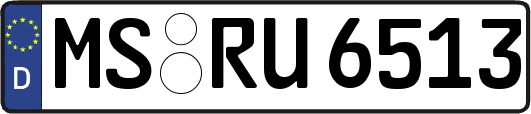 MS-RU6513