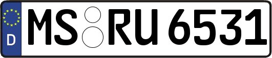MS-RU6531
