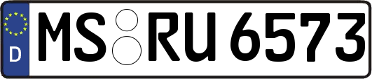 MS-RU6573