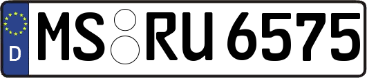MS-RU6575