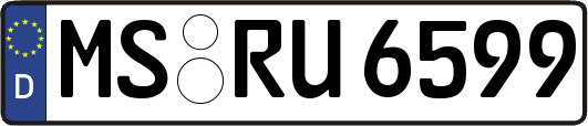 MS-RU6599