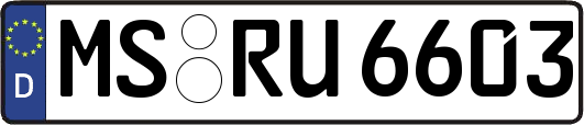 MS-RU6603