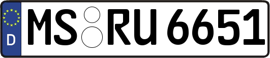 MS-RU6651