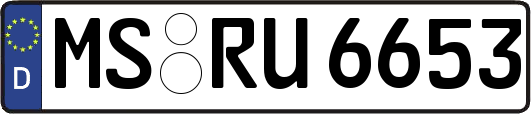 MS-RU6653