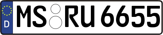 MS-RU6655