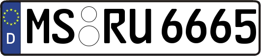 MS-RU6665