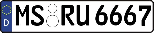 MS-RU6667