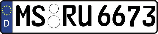 MS-RU6673
