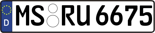 MS-RU6675