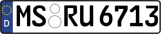 MS-RU6713