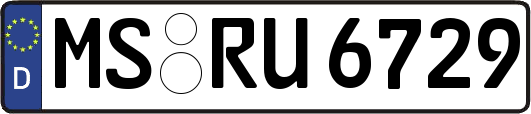 MS-RU6729