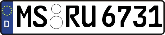 MS-RU6731