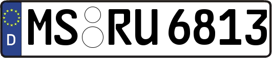 MS-RU6813