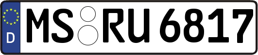 MS-RU6817
