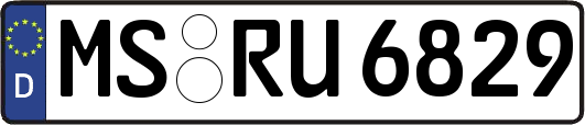 MS-RU6829