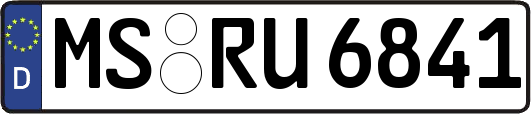 MS-RU6841