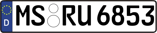 MS-RU6853