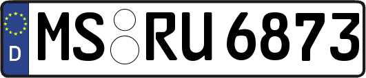 MS-RU6873