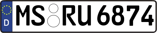 MS-RU6874