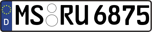 MS-RU6875