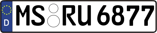 MS-RU6877