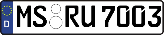 MS-RU7003