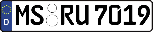MS-RU7019