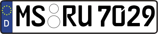 MS-RU7029