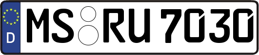 MS-RU7030