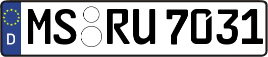 MS-RU7031