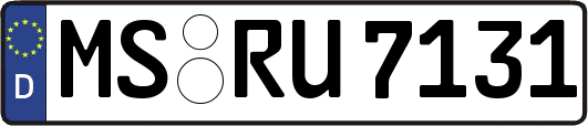 MS-RU7131