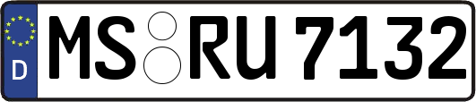MS-RU7132