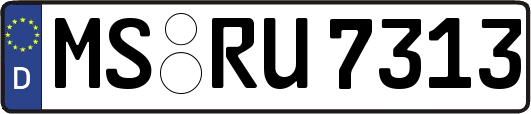 MS-RU7313
