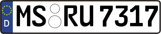 MS-RU7317